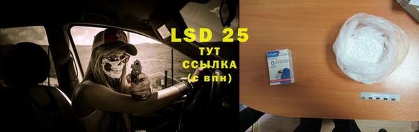 трава Слюдянка
