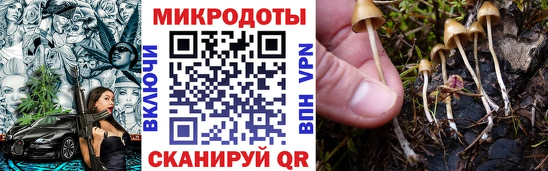 Галлюциногенные грибы Magic Shrooms  закладки  Кузнецк 